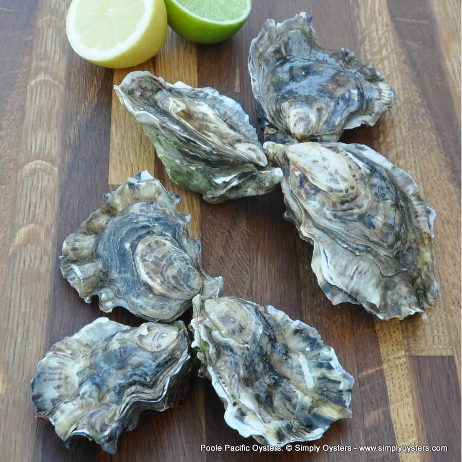 Simply Oysters UK's Widest Selection of Oysters UK Delivery